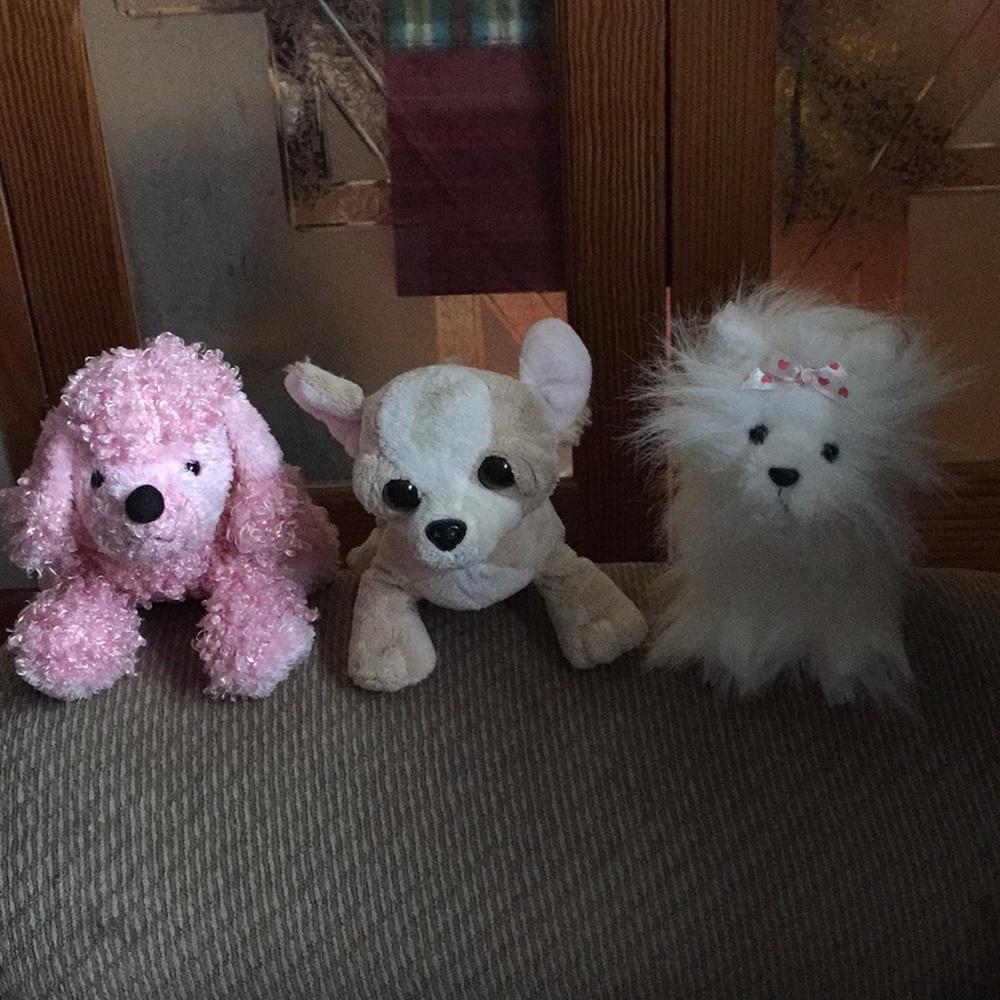 Webkinz! Chihuahua, White Terrior, and Pink Poodle